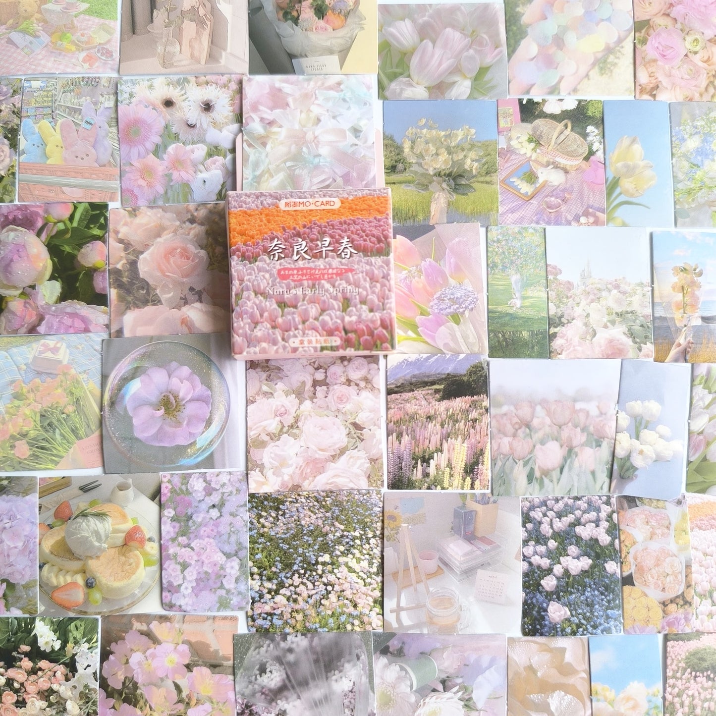 Cajita De Stickers Early Spring X45 Unidades
