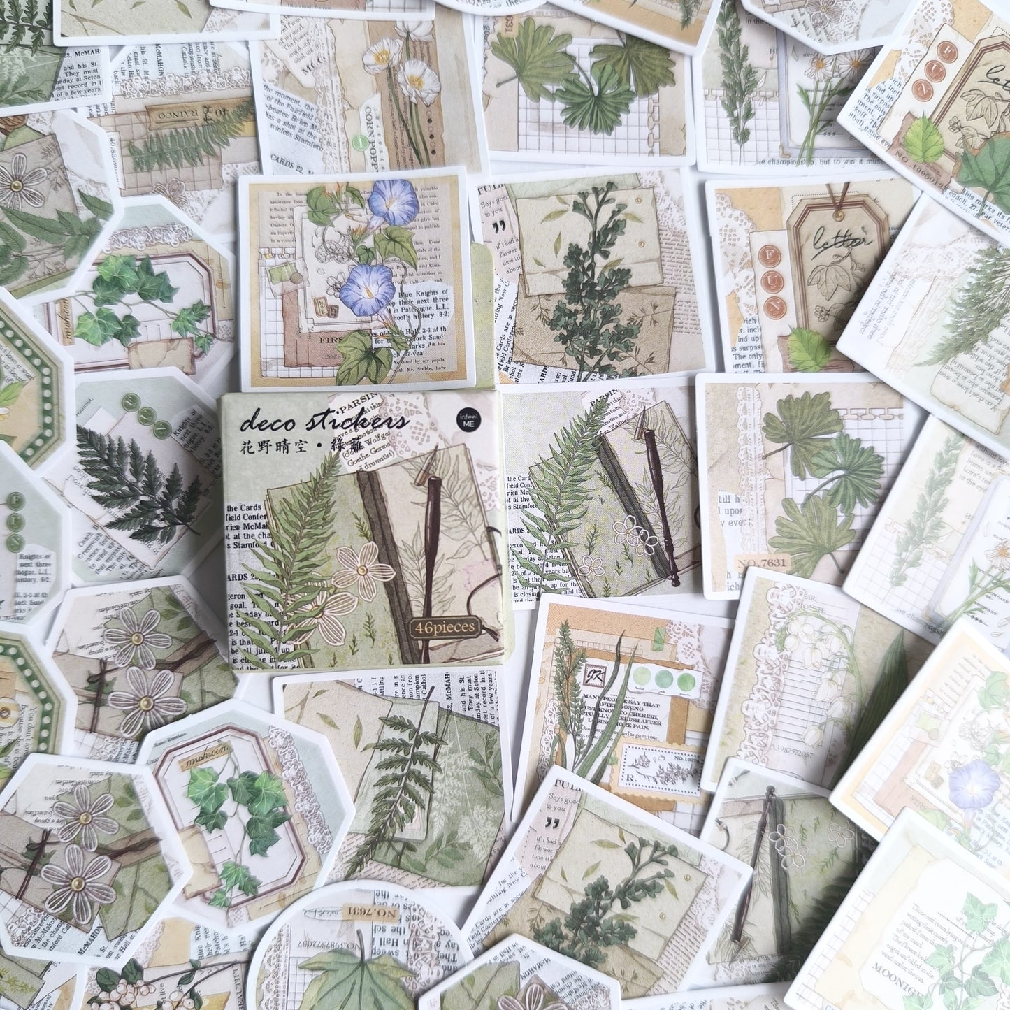 Cajita De Stickers Green Plants X45 Unidades