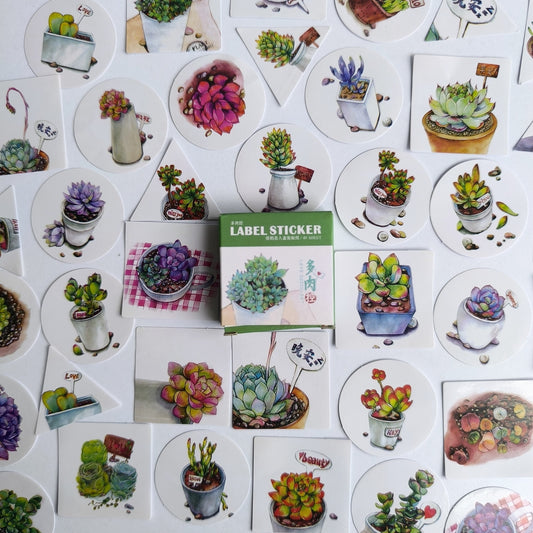 Cajita De Stickers Love Succulents X40 Unidades