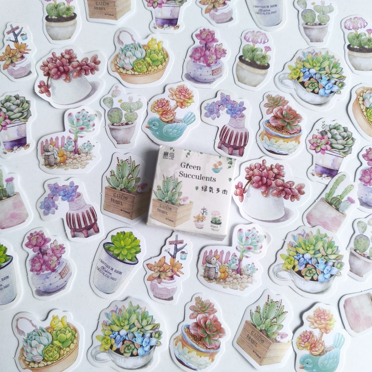 Cajita De Stickers Green Succulents X45 Unidades