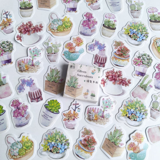 Cajita De Stickers Green Succulents X45 Unidades